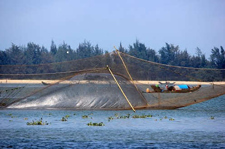 Cồn Tè