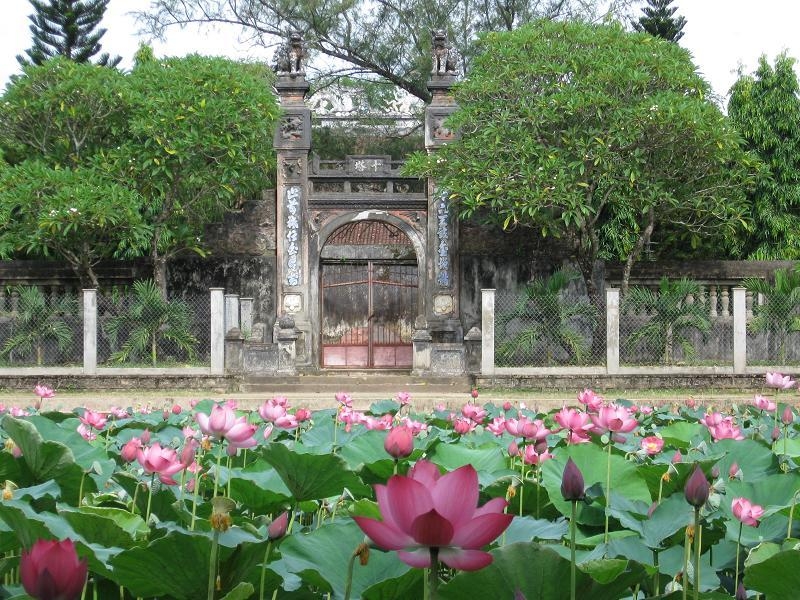 Hồ sen trước cổng chùa Thập Tháp Di Đà