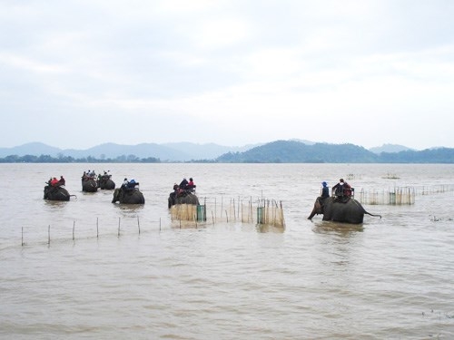 Hồ Lắk