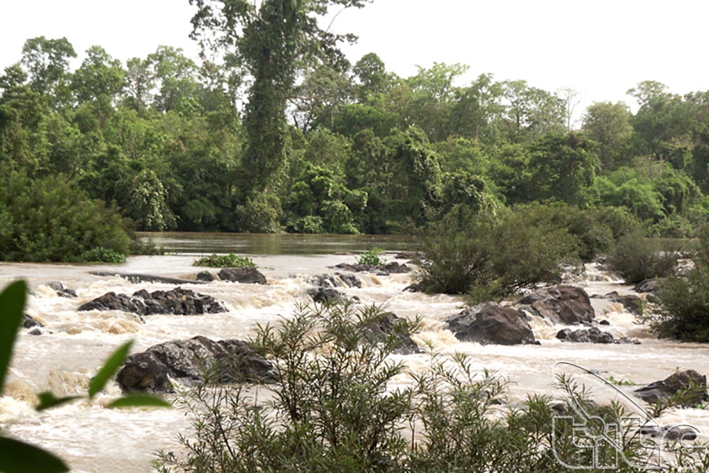 thác Bảy Nhánh