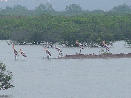 VQG Xuân Thủy