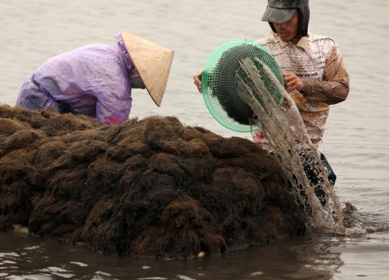 VQG Xuân Thủy