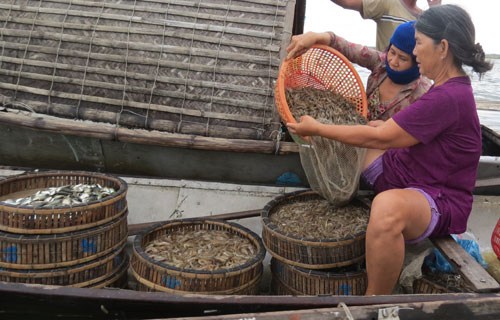 chợ nổi Phá Tam Giang Huế