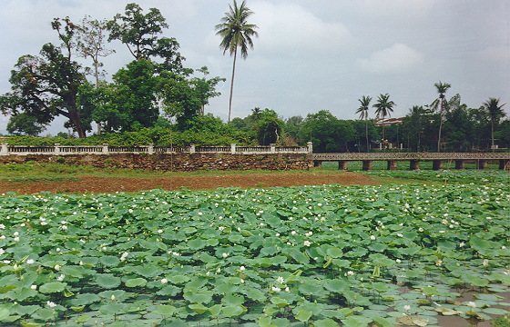 Hồ tịnh tâm